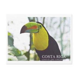 Small Toucan In Costa Rica Souvenir Postinvitations Front View