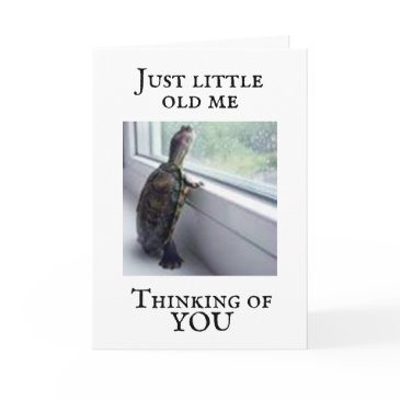 turtle says "i miss you" invitations