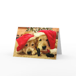 Small Two Golden Retriever Dogs In Santa Hats Christmas Holiday Invitations Front View