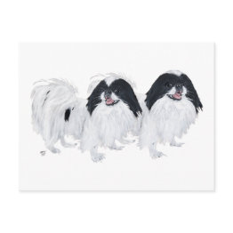 Small Two Japanese Chin Dogs Postinvitations Front View