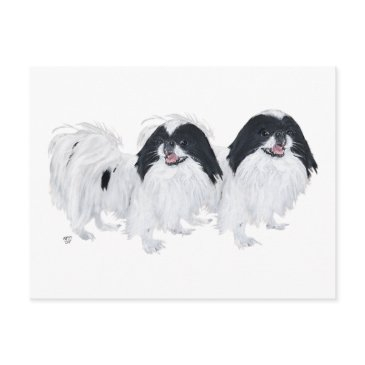 two japanese chin dogs postinvitations