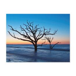 Small Usa, South Carolina, Edisto Island, Botany Bay Postinvitations Front View