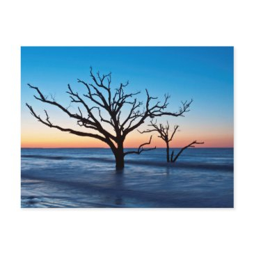 usa, south carolina, edisto island, botany bay postinvitations
