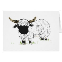 Small Valais Blacknose Sheep Front View
