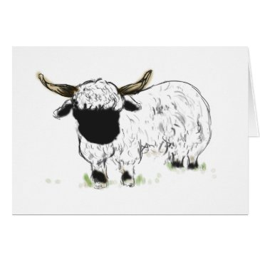 valais blacknose sheep