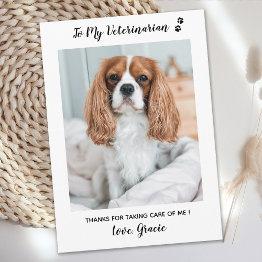 Small Veterinarian Vet Tech Pet Photo Veterinary Thank You Invitations Front View