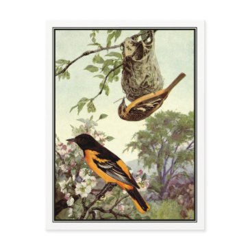 vintage baltimore oriole by robert bruce horsfall postinvitations