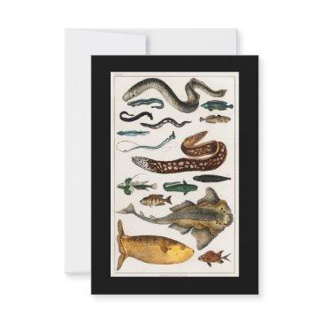 vintage eel fish collections rsvp invitations
