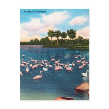 vintage florida flamingos travel postinvitations