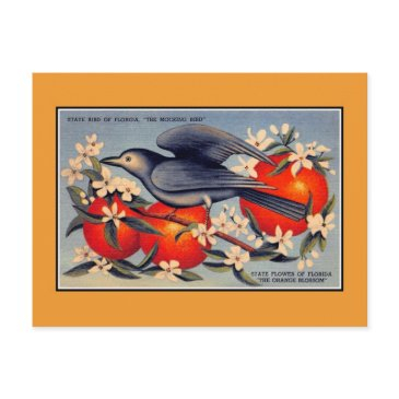 vintage florida state flower, state bird postinvitations