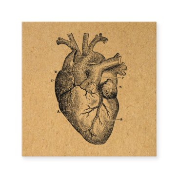 vintage heart diagram illustration vintage art enclosure invitations