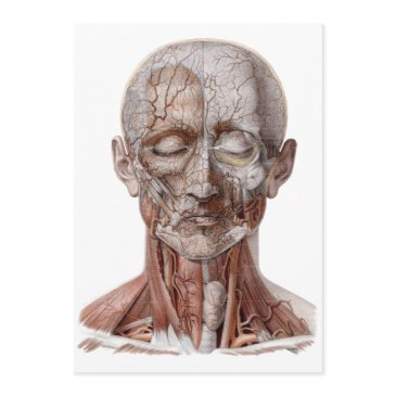 vintage human anatomy science, head throat nose invitations