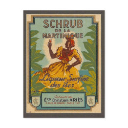 Small Vintage Martinique Travel Postinvitations Front View