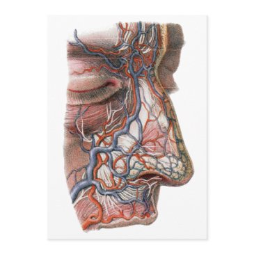 vintage science human anatomy, face with nose invitations