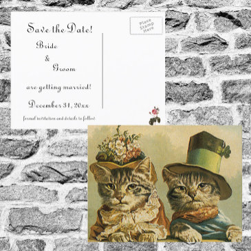 vintage victorian funny cats in hats save the date announcement postinvitations