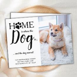 Small We've Moved Pet Photo New Address Dog Moving Announcement Postinvitations Front View