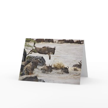 wildebeest jumping into mara river invitations