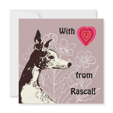 with love from your whippet