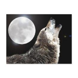 Small Wolf & Moon Postinvitations Front View