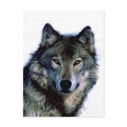 Small Wolf Portrait Postinvitations Front View