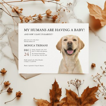 yellow labrador retriever baby shower minimalist invitation