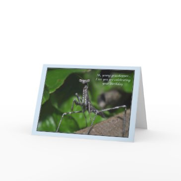 young grasshopper praying mantis birthday kung fu invitations