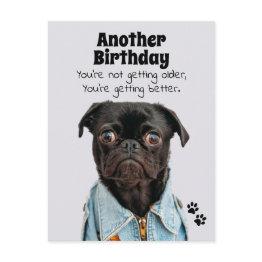 Small You're Getting Better Pug Dog Birthday Postinvitations Front View